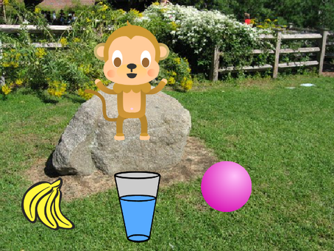 Virtual Pet