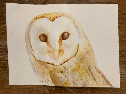 I tried watercolors again and made an owl