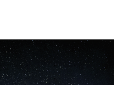 space doger