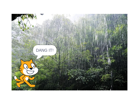 Cat gets jinxed.