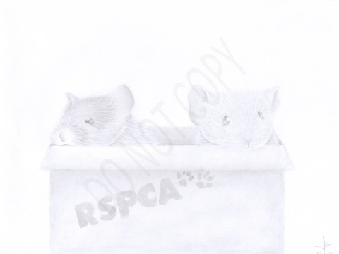 Art Comp. Submission | All Rights Reserved | #art