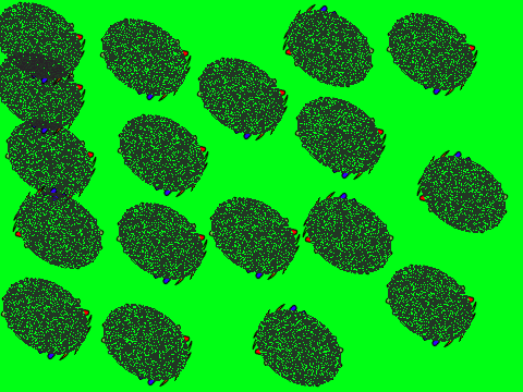 Creating QR Codes With Beetles