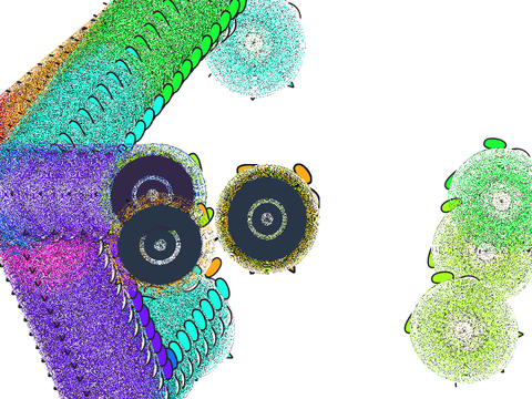 Rainbow cat duplicate  remix
