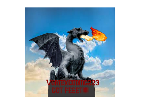 VortexCoding223 pfp by BoritoBoi