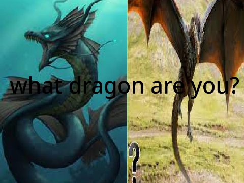 what dragon are you?