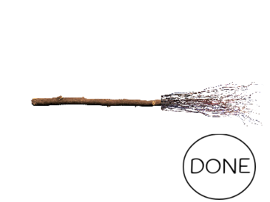 Harry Potter Broom Creator 2.0