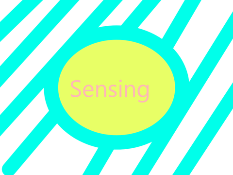 Scratch School: Sensing