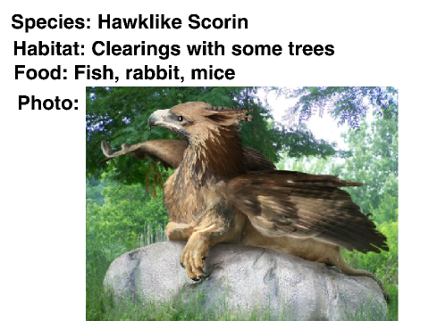 Scorin Bio
