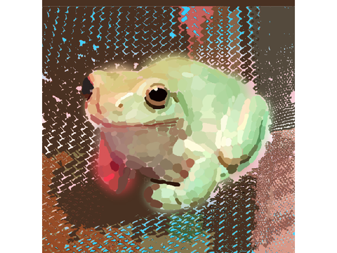 Frog for Arsen! ❤️