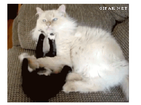 Isn't that adorable? pt.7
