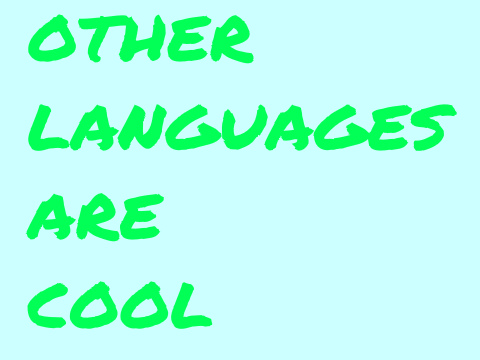#OtherLanguagesProjectsAreCool remix