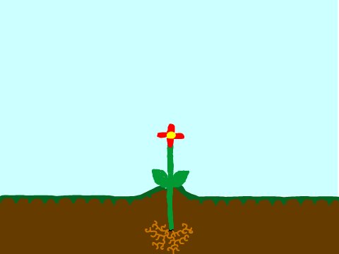 Flower growing