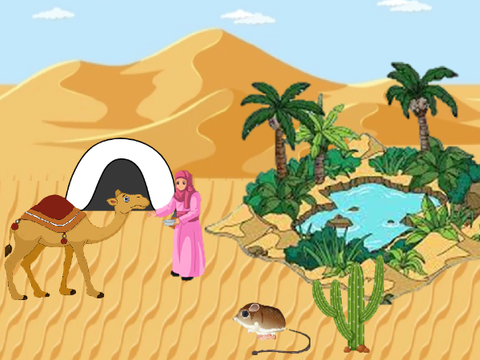 Desert I Interactive Landscape