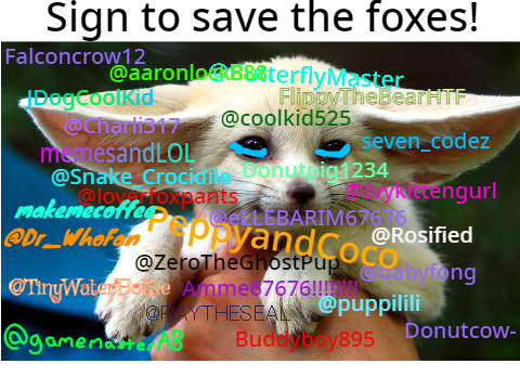 STOP HUNTING FOXES remix remix remix remix remix remix remix remix remix remix remix remix re… remix