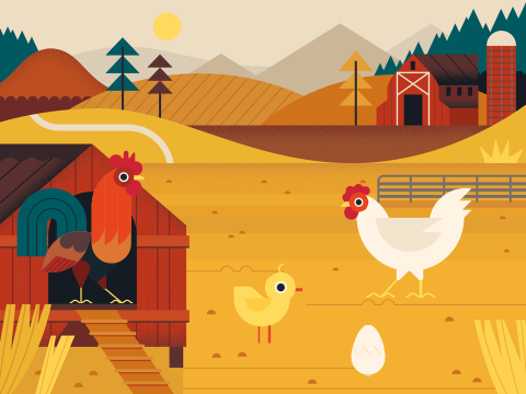 Farm
