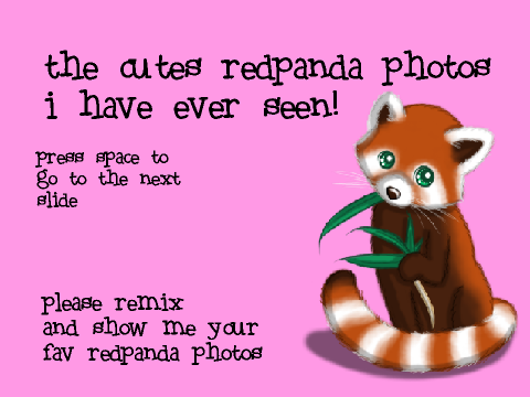 my fave redpanda photos