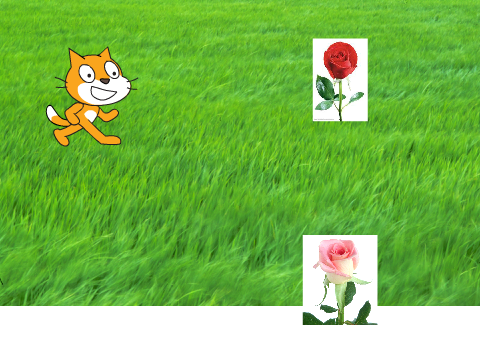 משימה 3