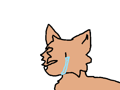 Sad Song MAP OPEN