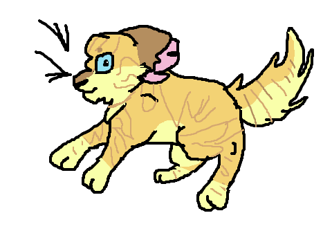 asili ref
