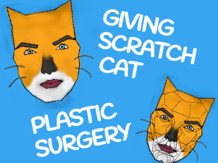 Giving scratch cat plastic surgery 