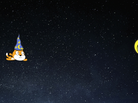 cat flying