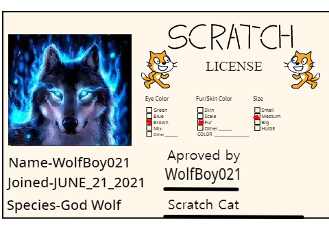 @WolfBoy021' Scratch license 