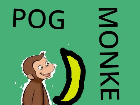 Monkey 