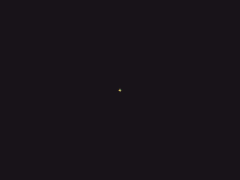 ₊·✦━━━━━━━━✦·