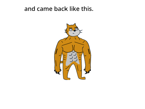 Scotty the Scratch Cat #1