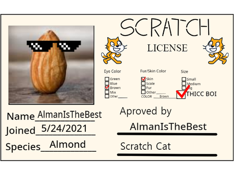 My Scratch License! | #All #Art