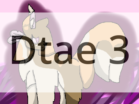 ✨ Dtae #3 ✨