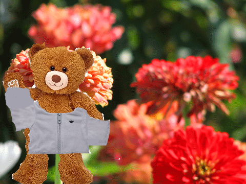 build a bear