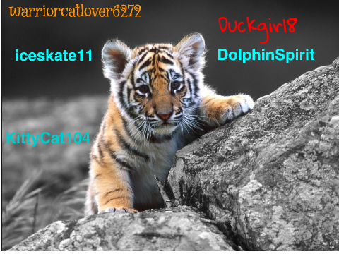 Sign here if you're against Tiger hunting! remix remix remix remix