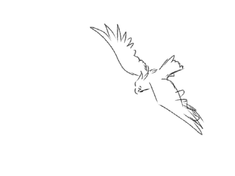 Animation Practice