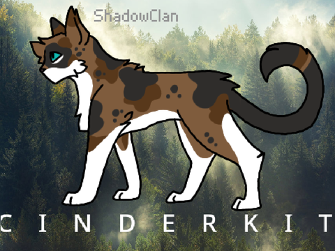 Cinderdrift - Ref and Bio
