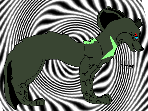 Dolion ref