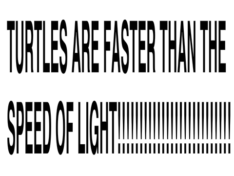 turtles are faster than the speed of light.thats what.