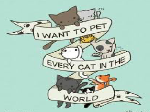 I do do you want to pet every cat in the world