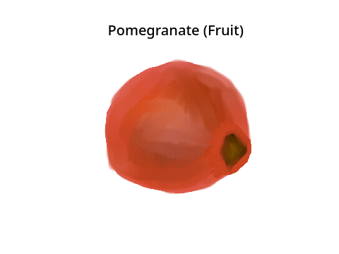My (Fruit) Pomegranate Attempt