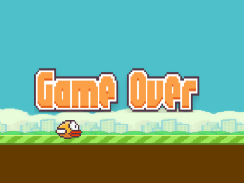 Flappy Bird - Senior Class