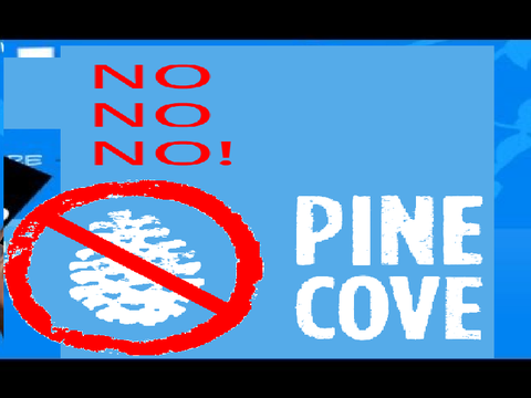The Pine Cove Experience