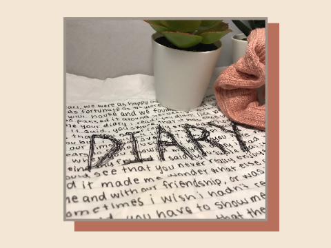 diary - original song || sgt v - semi finals