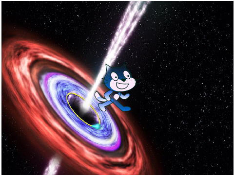 Galaxycat（世界で一番美しい猫選手権）