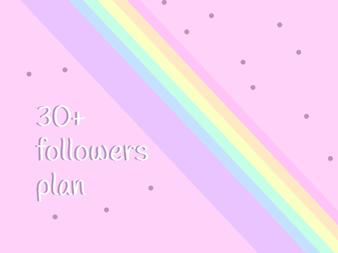 30+ followers plan