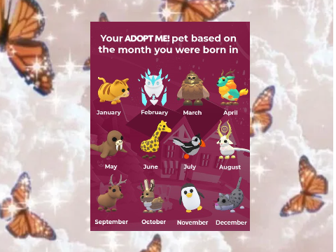 Adopt me stuff!