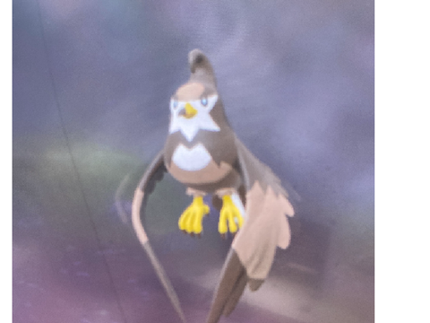 there is another