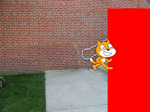 Stupid Cat