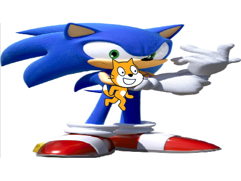 IF SCRATCH WAS SONIC