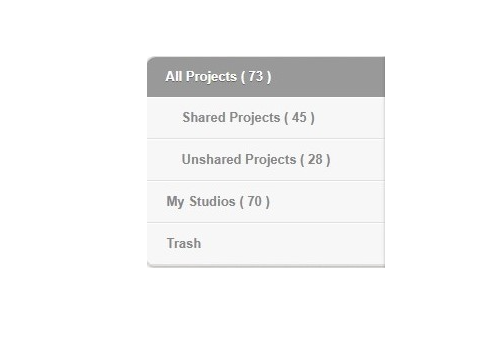 a project