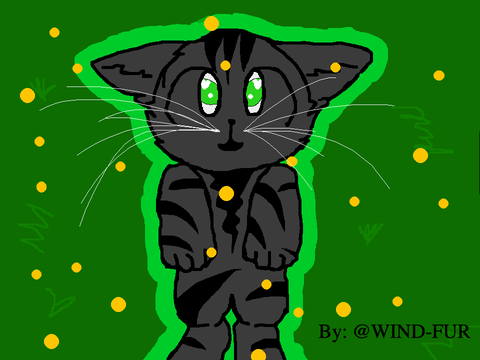 50+ Fireflies